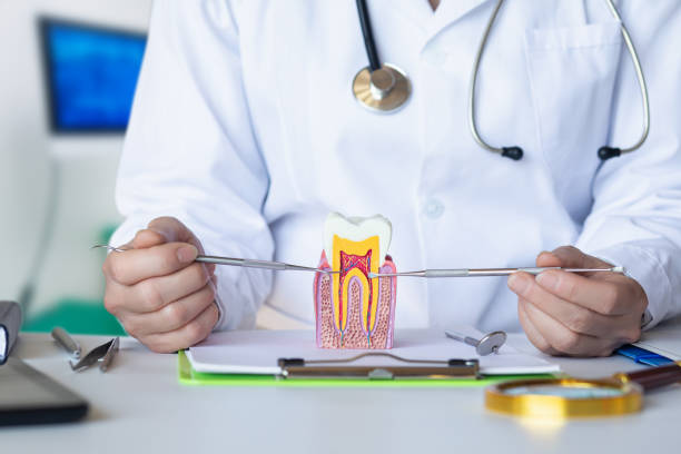 Best Emergency Root Canal Treatment in Lemoyne, PA